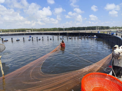 Fisherman with nets